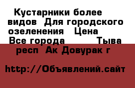 Кустарники более 100 видов. Для городского озеленения › Цена ­ 70 - Все города  »    . Тыва респ.,Ак-Довурак г.